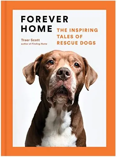 Coperta cărții Forever Home, Traer Scott
