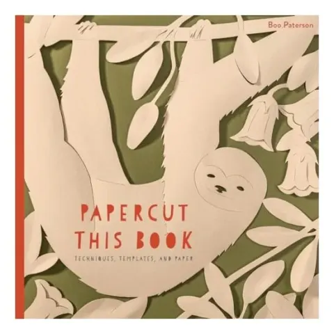 Coperta cărții Papercut This Book, Boo Paterson