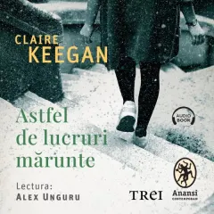 Coperta cărții Astfel de lucruri mărunte (audiobook)