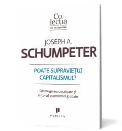 Coperta cărții Poate supraviețui capitalismul?