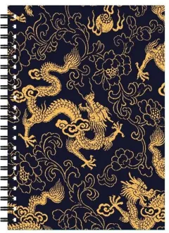 Coperta cărții Golden dragon