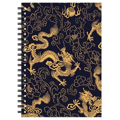 Coperta cărții Golden dragon