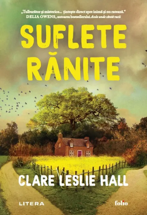 Coperta cărții Suflete ranite