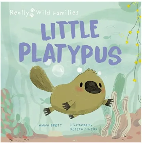 Coperta cărții Little Platypus