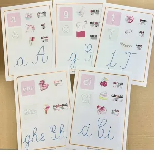 Coperta cărții Set 38 planse didactice - Literele alfabetului si grupurile de litere