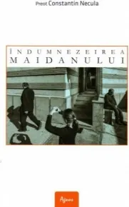 Coperta cărții Indumnezeirea maidanului