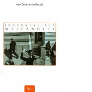 Coperta cărții Indumnezeirea maidanului