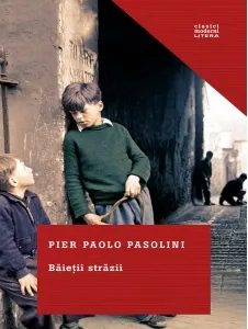 Coperta cărții Baietii strazii