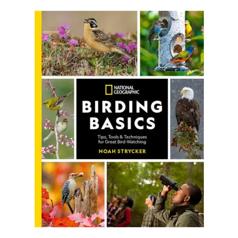 Coperta cărții Birding basics: tips, tools & techniques for great bird-watching