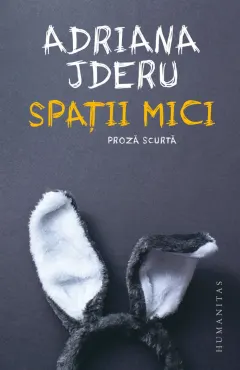 Coperta cărții Spații mici