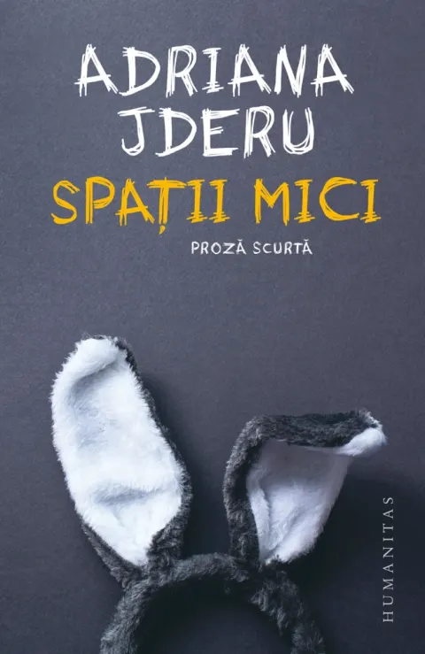 Coperta cărții Spații mici