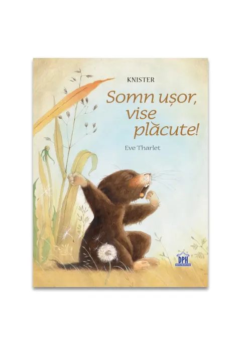 Coperta cărții Somn ușor, vise plăcute!