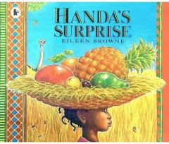 Coperta cărții Handa's Surprise