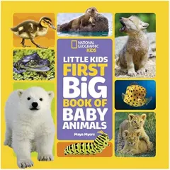 Coperta cărții Little Kids First Big Book of Baby Animals, National Geographic Kids