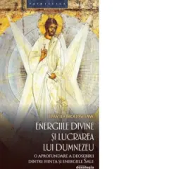 Coperta cărții Energiile divine si lucrarea lui Dumnezeu. O aprofundare a deosebirii dintre fiinta si energiile Sale