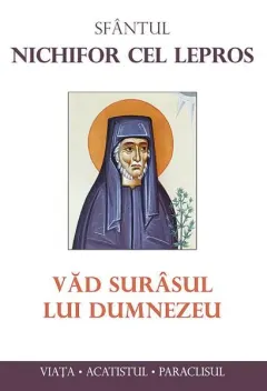 Coperta cărții Văd surâsul lui Dumnezeu