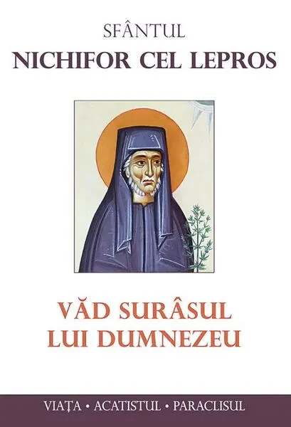 Coperta cărții Văd surâsul lui Dumnezeu