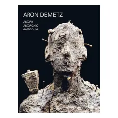 Coperta cărții Aron Demetz