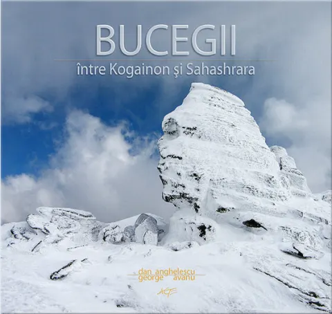 Coperta cărții Album Bucegii