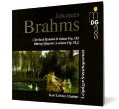 Coperta cărții Johannes Brahms
