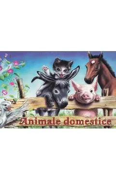 Coperta cărții animale domestice - pliant