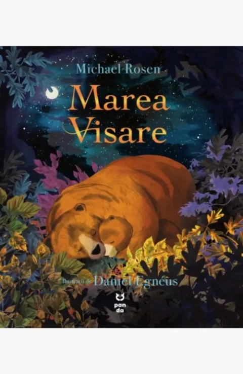 Coperta cărții Marea visare