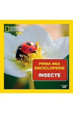Coperta cărții Prima mea enciclopedie: Insecte. National Geographic