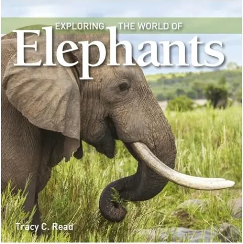 Coperta cărții Exploring the World of Elephants