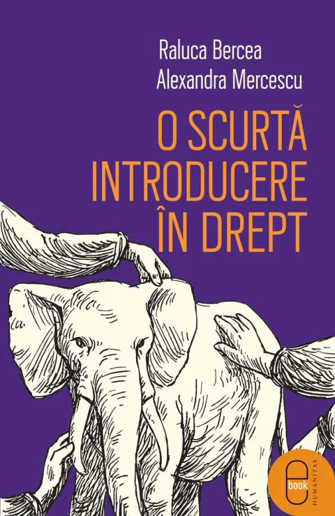 Coperta cărții O scurtă introducere în drept (epub)