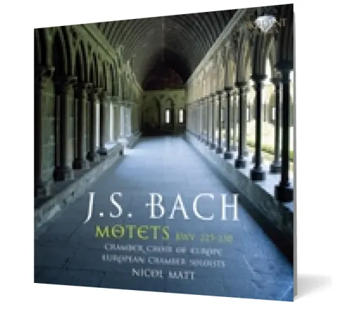 Coperta cărții Bach: Motets