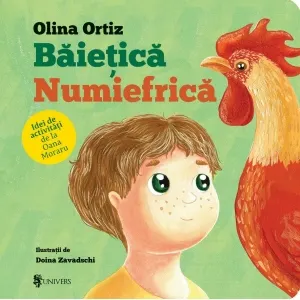 Coperta cărții Baietica Numiefrica. Idei de activitati
