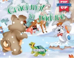 Coperta cărții Pop-up. Craciunul in padure