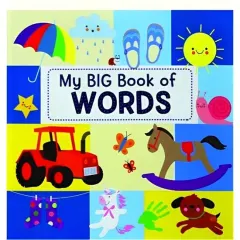 Coperta cărții My Big Book of Words