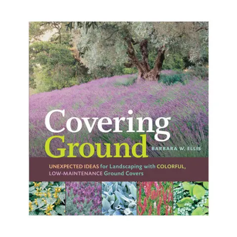 Coperta cărții Covering ground: unexpected ideas for landscaping with colorful, low-maintenance ground covers