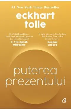 Coperta cărții Puterea prezentului