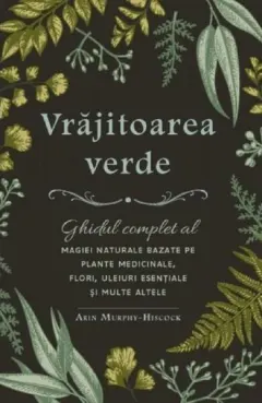 Coperta cărții Vrăjitoarea verde