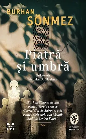 Coperta cărții Piatră și umbră