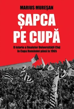 Coperta cărții Șapca pe Cupă