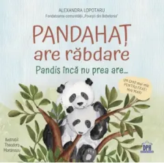 Coperta cărții Pandahat are rabdare. Pandis inca nu prea are... Un ghid mai mic pentru frati mai mari