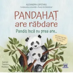 Coperta cărții Pandahat are rabdare. Pandis inca nu prea are... Un ghid mai mic pentru frati mai mari