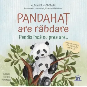 Coperta cărții Pandahat are rabdare. Pandis inca nu prea are... Un ghid mai mic pentru frati mai mari