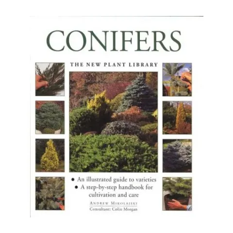 Coperta cărții Conifers
