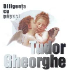 Coperta cărții Tudor Gheorghe - Diligența cu păpuși