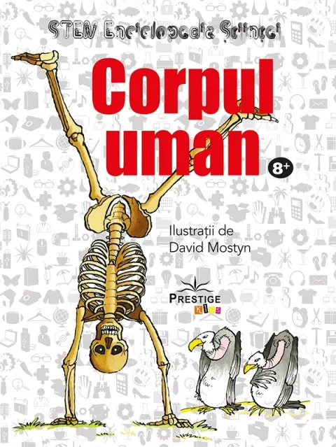 Coperta cărții STEM Enciclopedia stiintei. Corpul uman