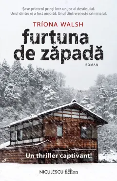 Coperta cărții Furtuna de zăpadă