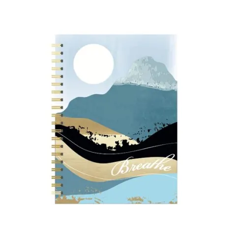 Coperta cărții Mountains & Moon