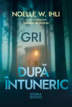 Coperta cărții Gri după întuneric