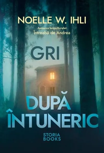 Coperta cărții Gri după întuneric