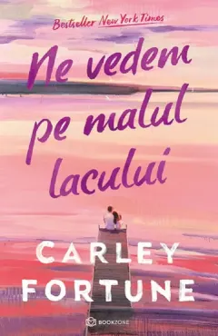 Coperta cărții Ne vedem pe malul lacului