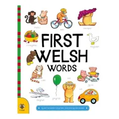 Coperta cărții First Welsh Words (Welsh Edition)